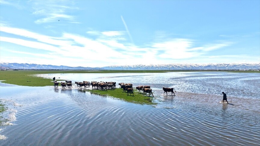 Ardahan'da Kura Nehri'nde Kar Sularının Etkisi