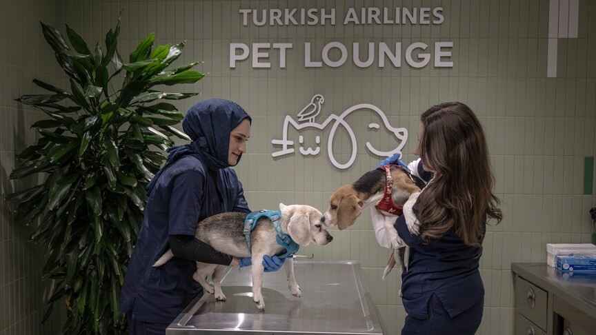 THY'den Evcil Hayvanlar İçin Özel Alan: Pet Lounge