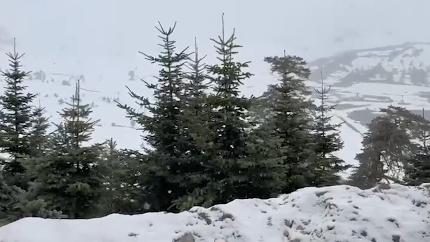 Mayıs Ayında Bolu ve Düzce'de Kar Yağışı Gerçekleşti