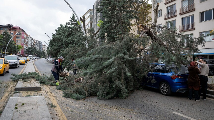 Ankara'da Fırtına; İki Araç Ağaçlarla Zarar Gördü