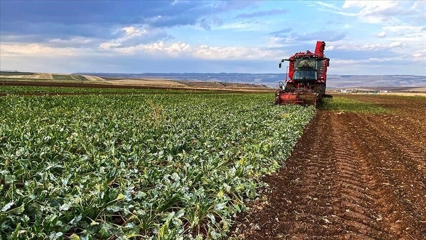 Çiftçilere 35,6 Milyar Liralık Tarımsal Destek Ödemesi Yapıldı