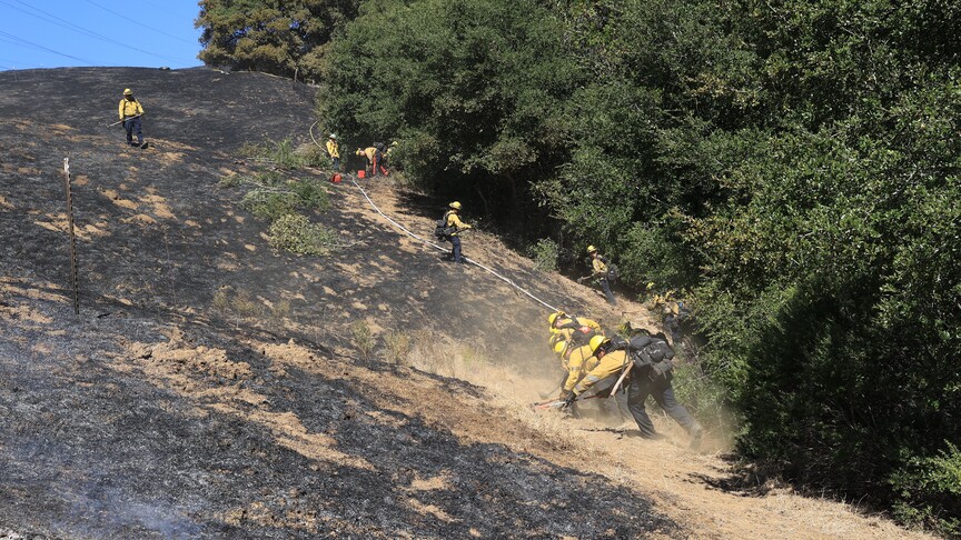 California Yangınları: 14 Bin 600 Dönüm Alan Kül Oldu