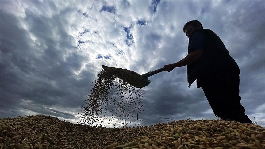 Bugün 6,5 Milyar Lira Tarımsal Destekleme Ödemesi Dağıtılacak