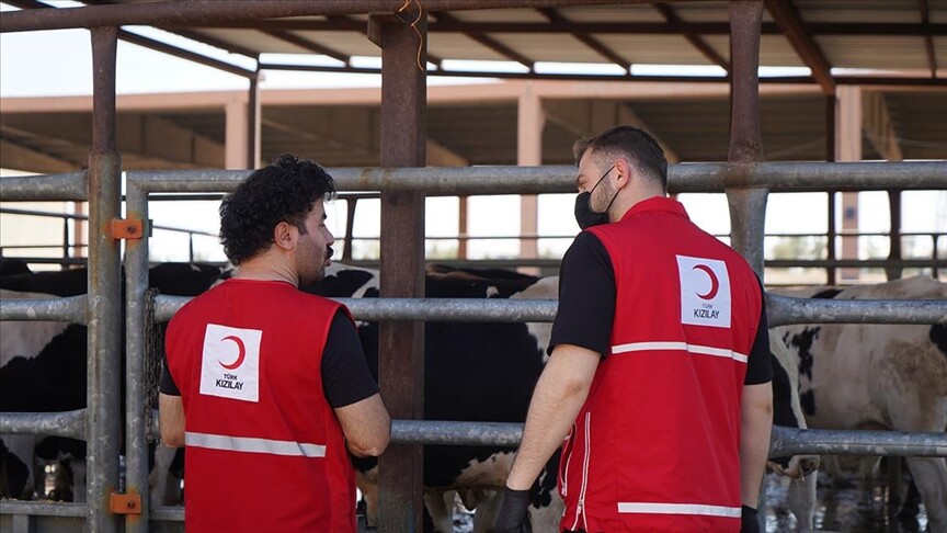 Türk Kızılay Kurban Bağışı Kampanyası Tatil Günlerinde Devam Ediyor