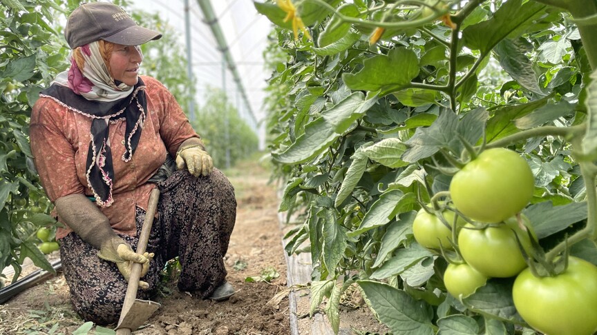 Antalya, Türkiye'nin Sebze-Meyve Üretiminde Lider Şehir