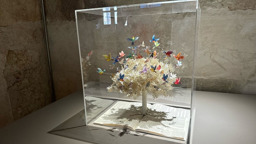 Rami Çocuk ve Sanat Bienali, Hayalleri Gerçekleştiriyor