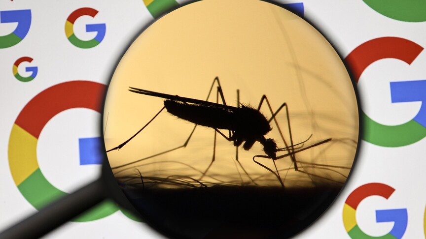 Google’dan Hastalık Engelleme Amaçlı Sivrisinek Projesi