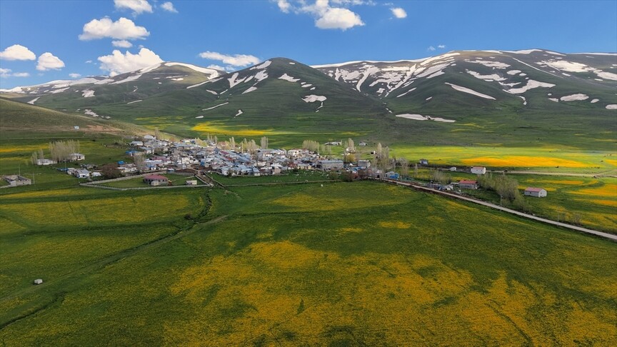 Erzurum'da Bahar ve Kışın Buluşma Anı: Çiçekler ve Kar