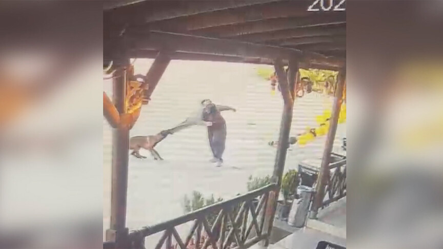 Afyonkarahisar'da Köpek Saldırısı: Yaralı Kadın Taburcu Edildi