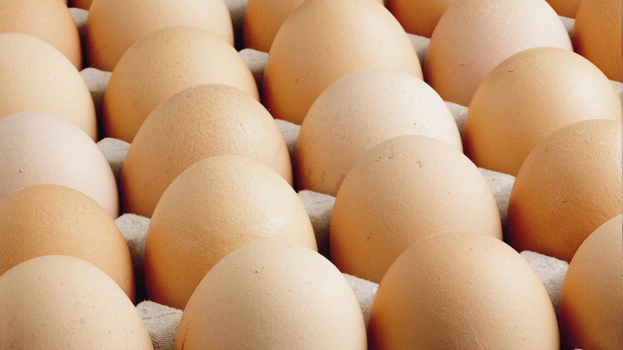 Kuş Gribi İhracat Rekorları Açtı: Türk Yumurtası Avrupa'yı Sarıldı