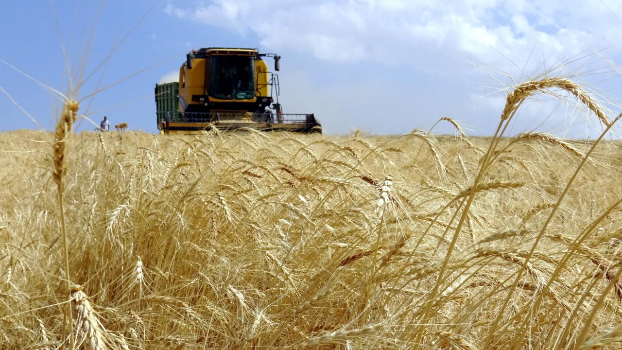 Çiftçilere 3,7 Milyar Lira Tarımsal Destek Ödemesi!