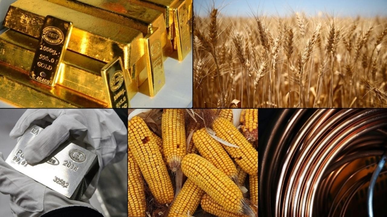 Emtia Piyasasında Kakao Fiyatları Rekor Seviyede Yükseliyor