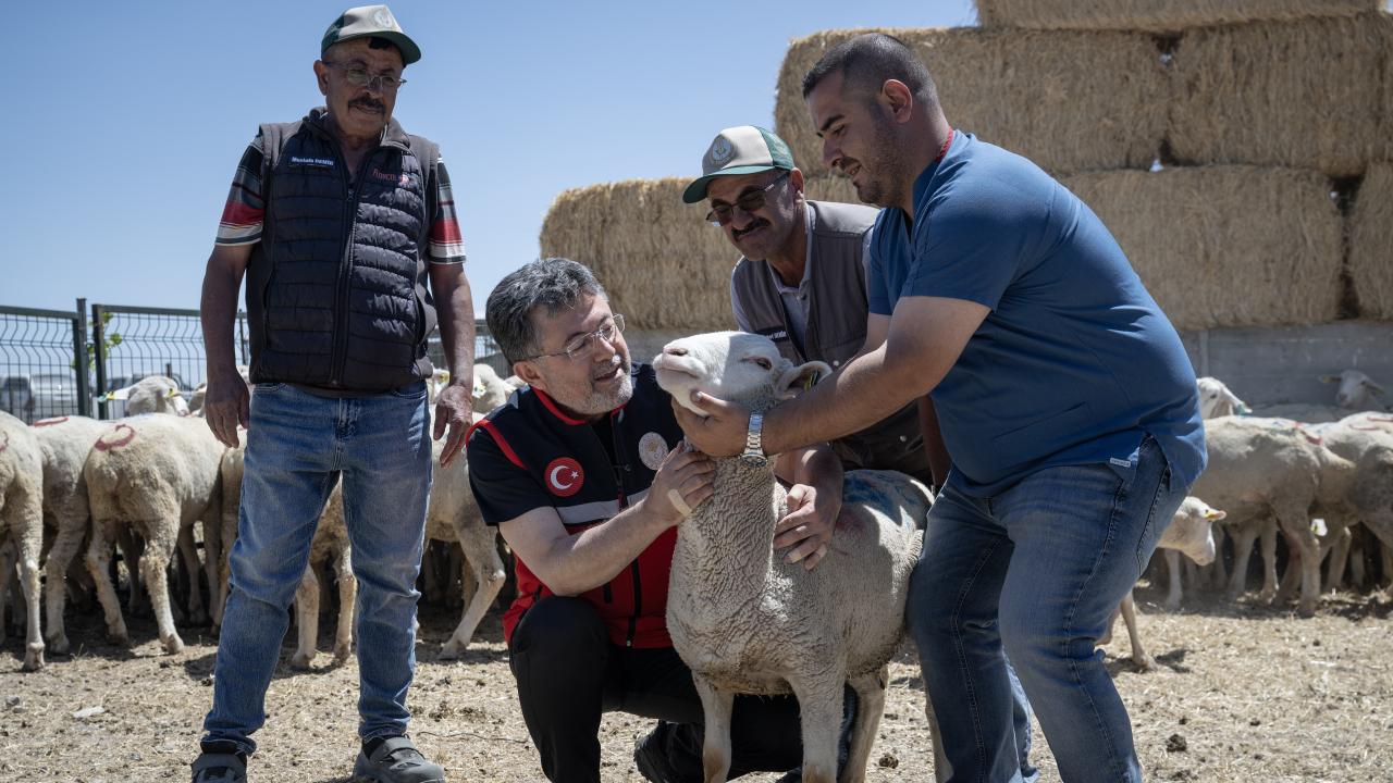 Kırsalda Bereket Projesi'nde İlk Destekler Temin Edildi