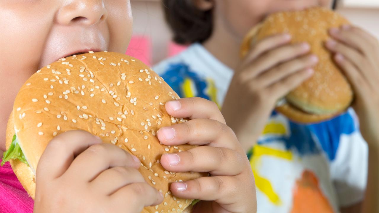 Türkiye'nin Favori Hızlı Atıştırmalıkları: Hamburger ve Çikolata Zirvede