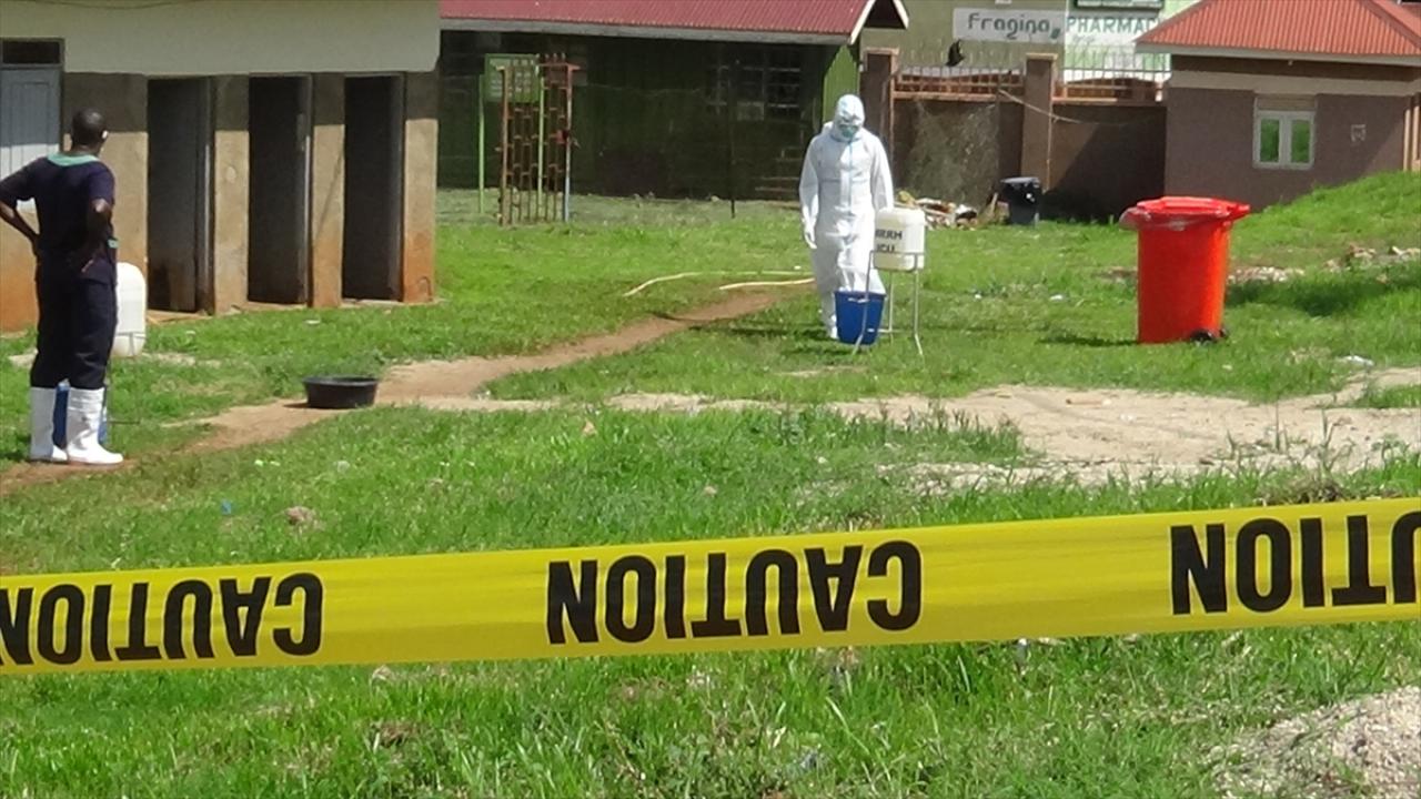 DSÖ Ebola Salgını İçin Acil Durum İlan Etti