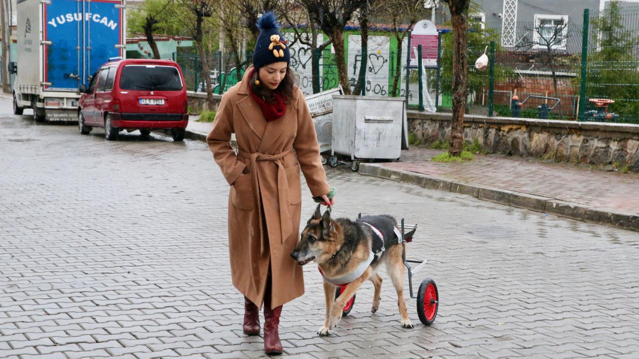 Ece Erbuğ'un Can Dostu Roma Tekrar Ayağa Kalktı